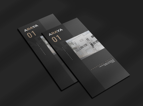 antonio sotillo graphic design image development for Araya Real Estate Identity