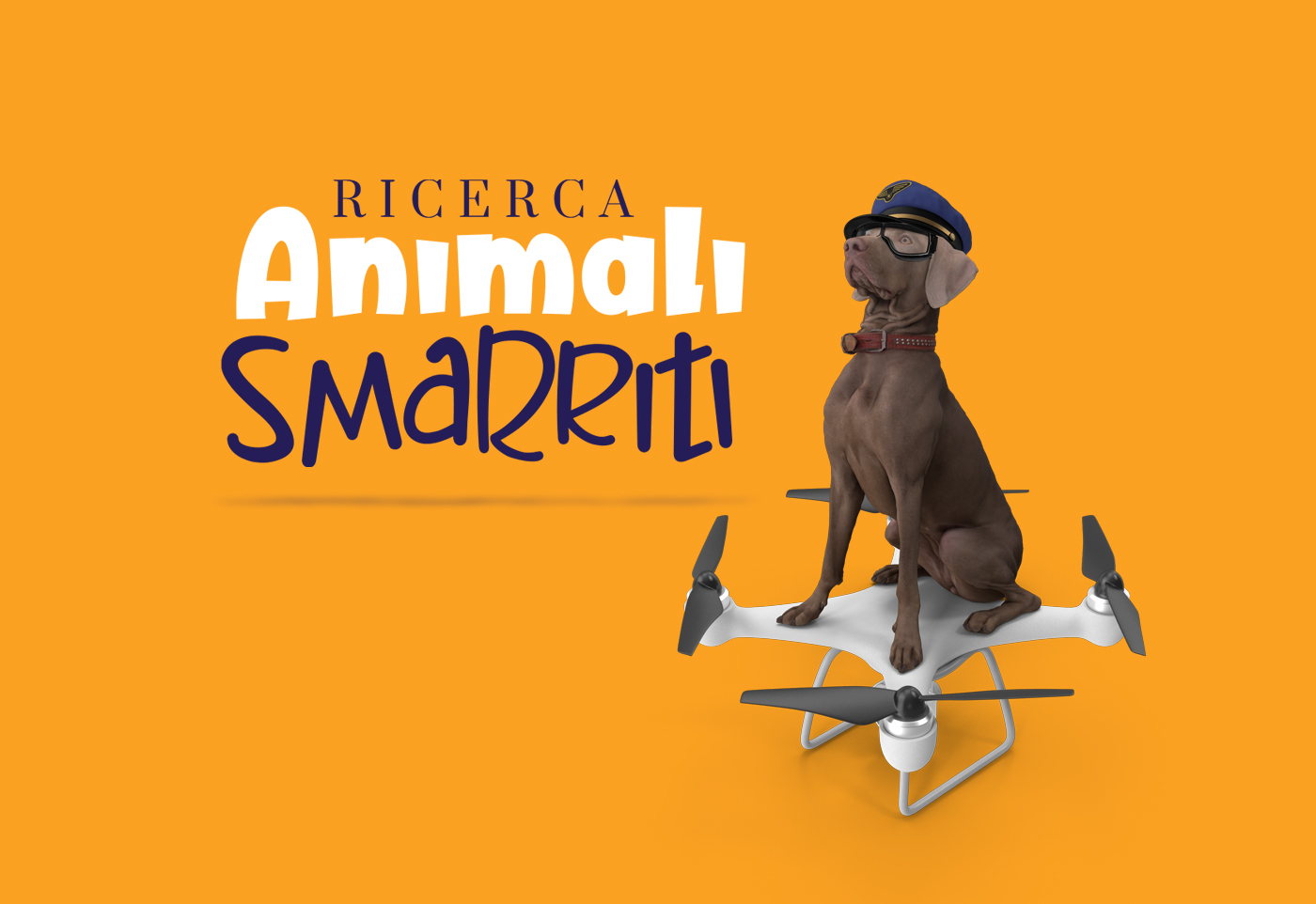 Antonio_Sotillo_web-design-ricercaanimalismarriti