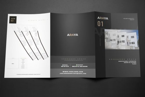 antonio sotillo graphic design image development for Araya Real Estate Identity